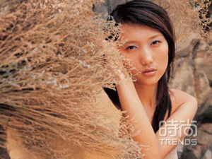 流光秋色 金色迷情 流光秋色 金色迷情