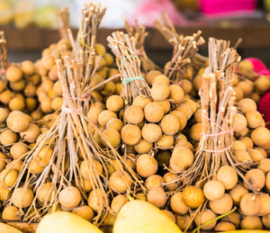 苏东坡眼中最营养的菜:大白菜(图)