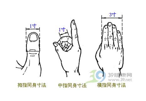 是本人的手指!)为尺寸折量标准,来量取穴位的定位方法,又称"指寸法".