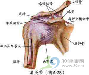 肩关节周围炎又称漏肩风,五十肩,冻结肩,简称肩周炎,是以肩关节疼痛