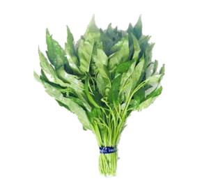 夏季解毒最牛的食物