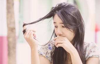 安陆有多少人口_安陆白花菜