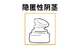 健康流言终结者第9期:隐匿性阴茎也会被误切?