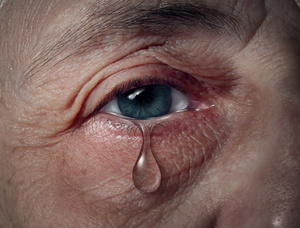 辽宁报告21例炭疽病例 均被隔离治疗无死亡病例 辽宁报告21例炭疽病例 均被隔离治疗无死亡病例