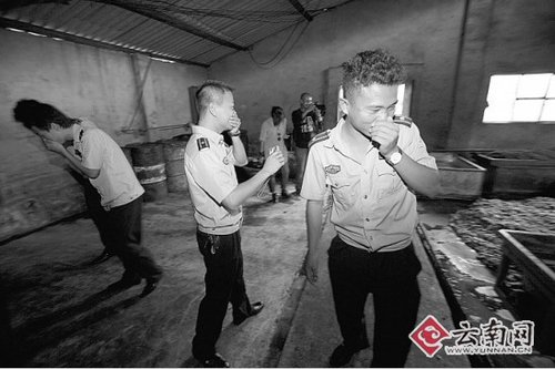 50吨“地沟油”流往昆明 5名嫌疑人被抓(图) 50吨“地沟油”流往昆明 5名嫌疑人被抓(图)