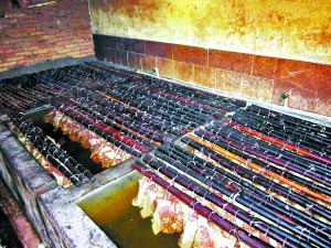 东莞查获病死猪制毒腊肉 两年来日产5000斤(图) 东莞查获病死猪制毒腊肉 两年来日产5000斤(图)