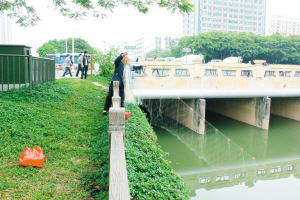 重金属和细菌超标污水鱼游上市民餐桌 重金属和细菌超标污水鱼游上市民餐桌
