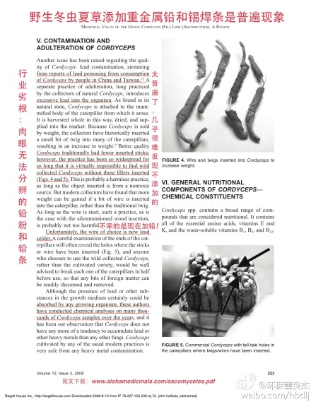 天价冬虫夏草含铅恐致病 炮制出的高价补品 天价冬虫夏草含铅恐致病 炮制出的高价补品
