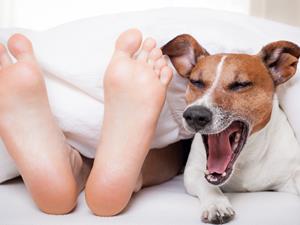 你一定要了解的10个狂犬病常识2 / 作者:疾控客服 / 帖子ID:237513 你一定要了解的10个狂犬病常识2 / 作者:疾控客服 / 帖子ID:237513
