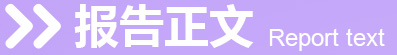 报告正文