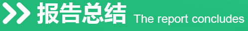 报告总结