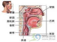 流感小问题 有我万事安