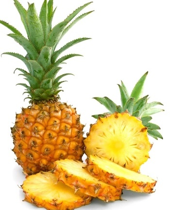 ʱ ɳҲ֬