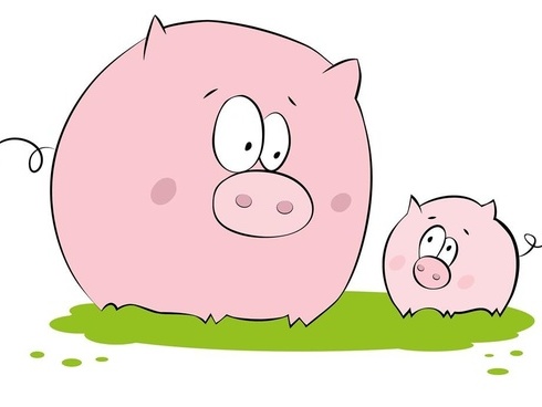 十二生肖09年健康运程