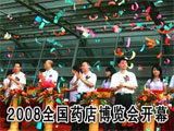 2008ȫҩ격