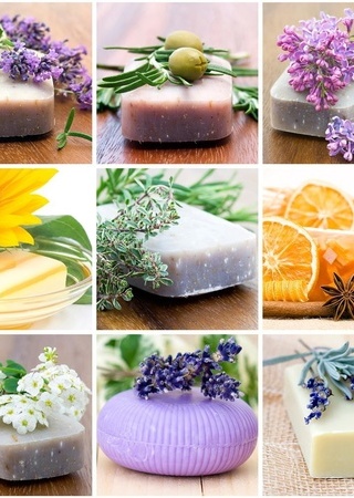 编辑点评7款畅销迷你纸手帕