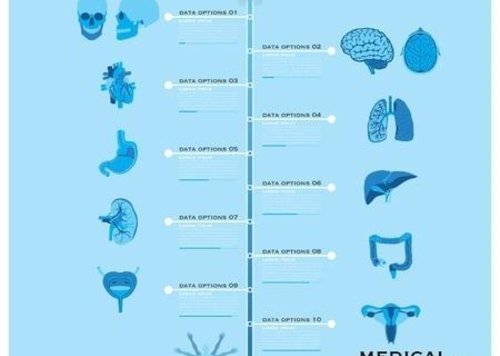 网友使用纸手帕习惯调查报告