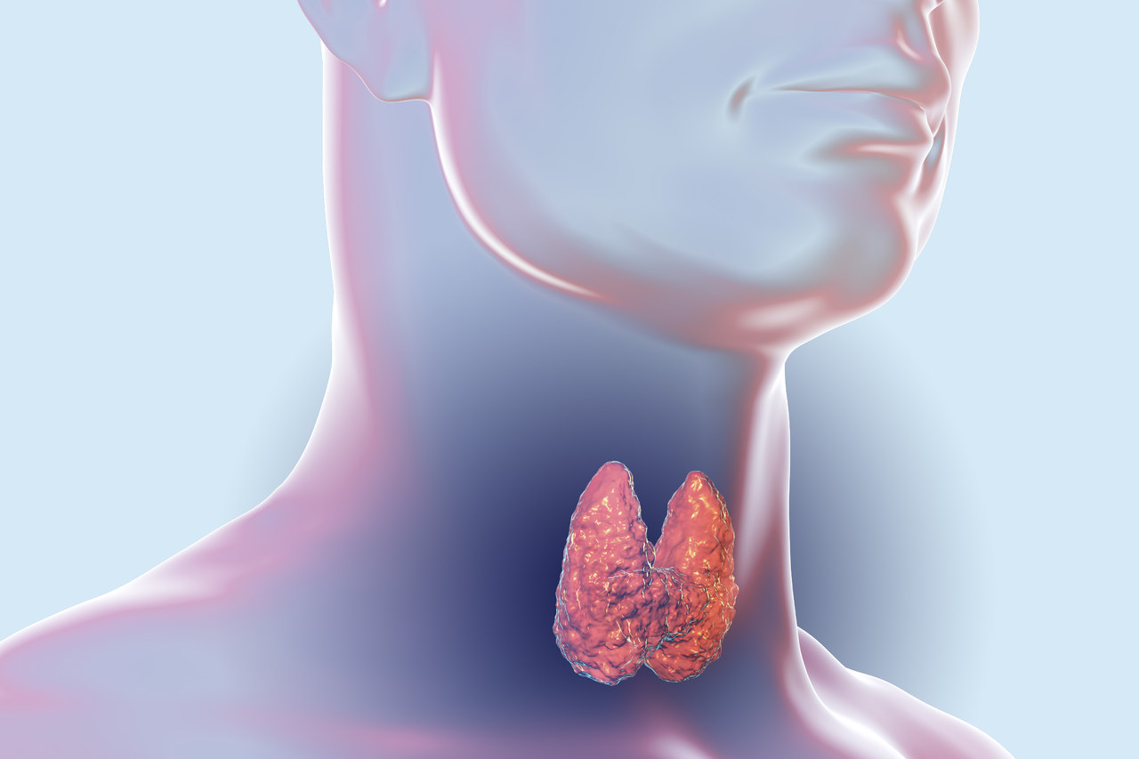 实时报道：昆明的甲状腺医院哪个看的比较好