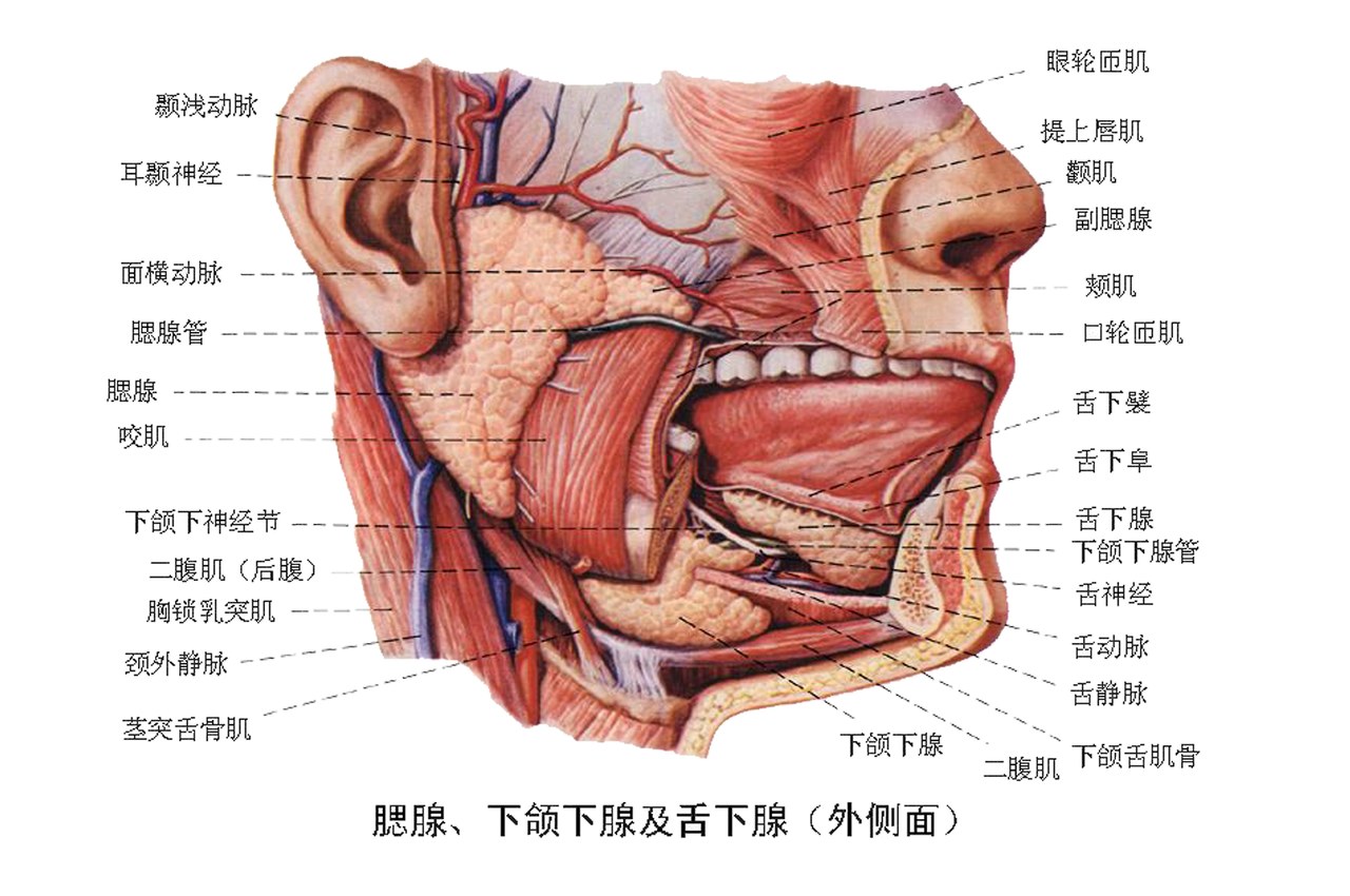 颌面部淋巴瘤有什么前兆表现