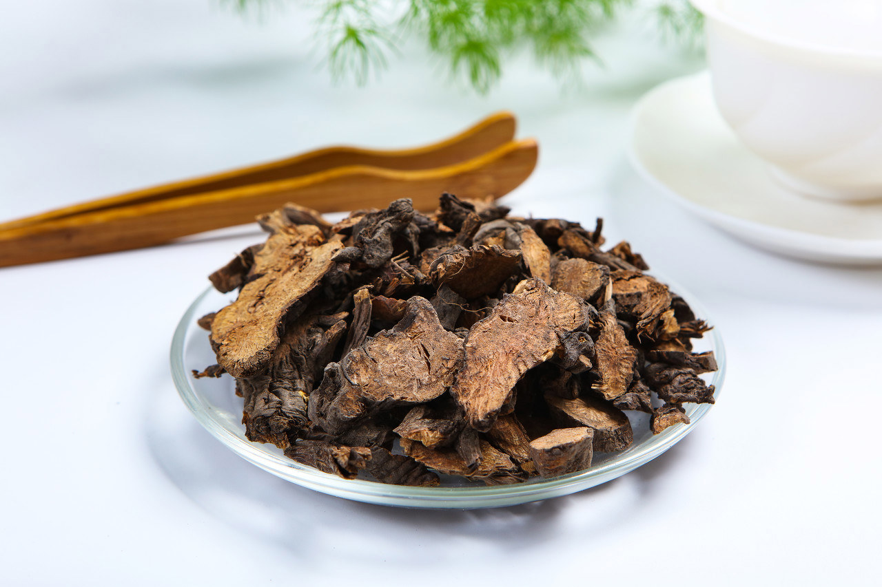 「揭秘」榛蘑:功效、禁忌及食用方法全攻略!