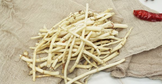 为什么说鱼腥草是“害人草”？常吃有肾毒还致癌？告诉你真相