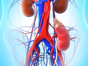肾动脉硬化性狭窄怎么治疗好得快一点