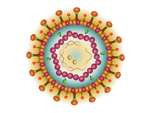 2025年度榜单-太原看 HPV 感染医院推荐：太原治疗HPV阳性医院