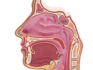 鼻腔有异物感嗓子不舒服
