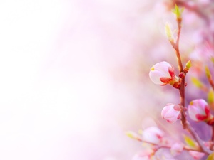 推荐榜单:重庆治疗私密漂红去哪个医院效果好“新闻速递”重庆私密漂红会影响私密处的健康吗