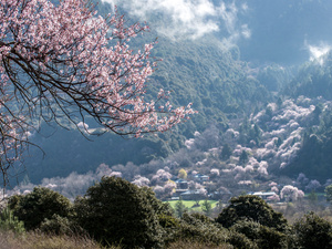 西安治外阴白斑到哪儿医院好些-全国指定21家外阴白斑医院?