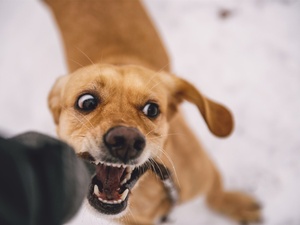 ͯҽԺļҺ(аʵʱ)TOPǰ壺ͯҽԺƿڳļҺ