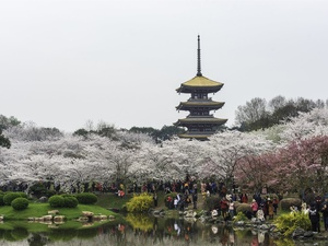 今天的重点：陕西省老医协医院外阴白斑诊疗中心（专业医院、综合治疗）！