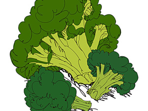 TOP榜前五!太原有名尖锐湿疣医院“口碑良好”太原治疗尖锐湿疣效果好