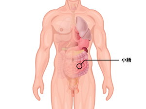 小肠气痛
