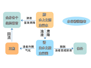 患者_中医