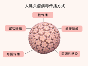 皮肤_人乳头瘤病毒