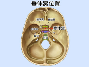 脑脊液