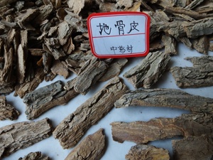 补骨脂引起白癜风扩散