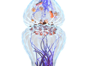 ȫ湫֣רҵHPV59ҽԺѡ-ڱʮǿ֣ĸҽԺhpvީ