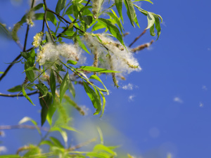 每日精选：临汾看白癜风医院“人气排名更新”-时节改变对白癜风有何影响