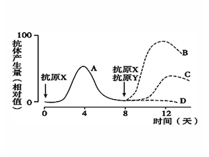 衣原体感染者