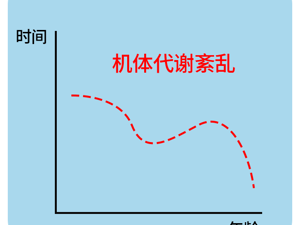 л쳣