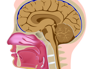 腺样囊性癌实性型生存期