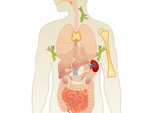 男性严重缺锌症状