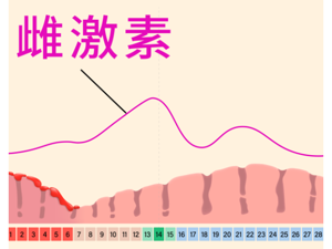 激素水平恢复正常