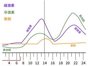 激素水平异常