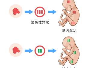 Ⱦɫ쳣