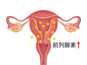 前列腺素水平升高