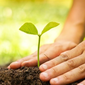 环保志愿者:行动起来,改变世界