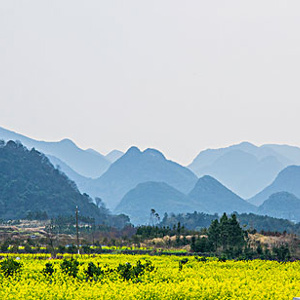 和谐共生：实现美丽中国的愿景